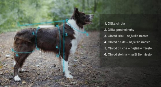 Oblečenie pre psa a jeho meranie